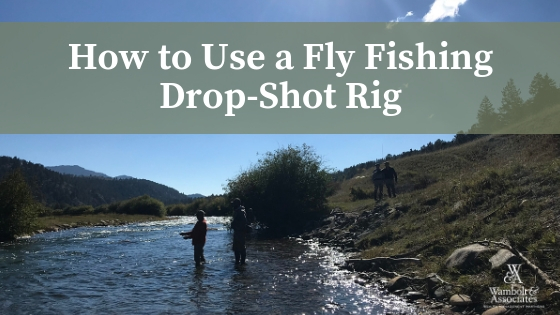 How to Use a Fly Fishing Drop-Shot Rig - Wambolt & Associates
