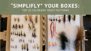 240 Preselected Colorado Trout Fly Assortment & Fly Box U Pick Flies
